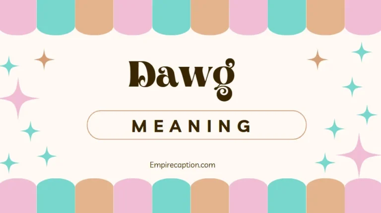 Dawg Meaning A Complete Guide to the Word, Its Origins, and Modern Use