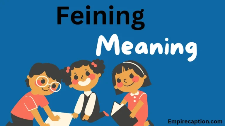 Understanding “Feining” — The Complete Guide to Its Meaning, Origin, and Modern Use