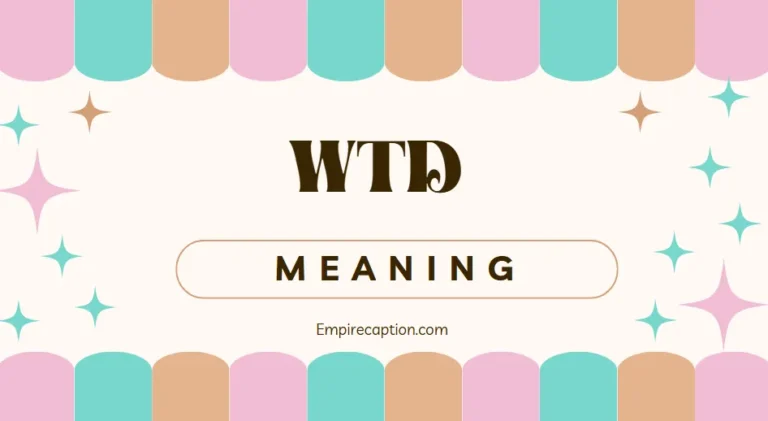 WTD Meaning A Complete Guide to Its Usage, Origins, and Impact